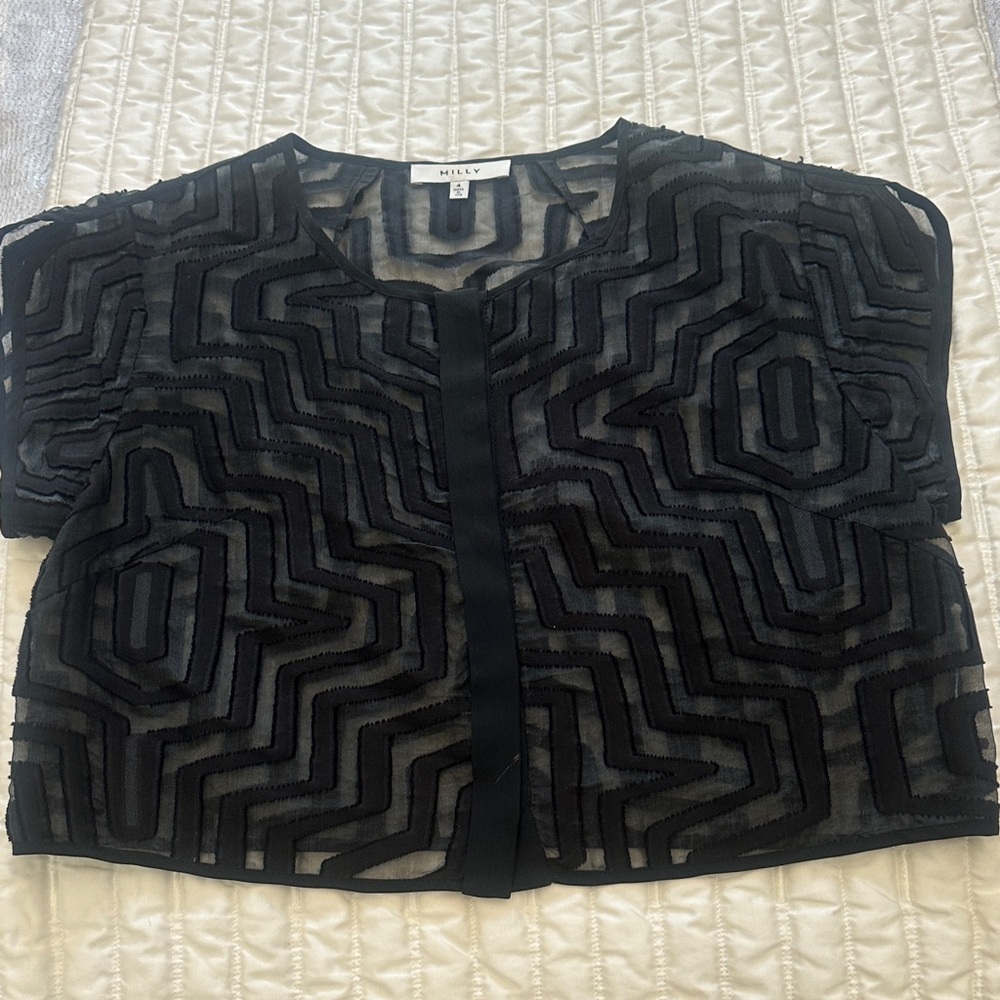 Milly Black  Sheer Crop Top